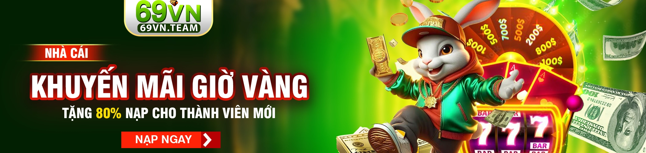 69VN 1 banner 69vn